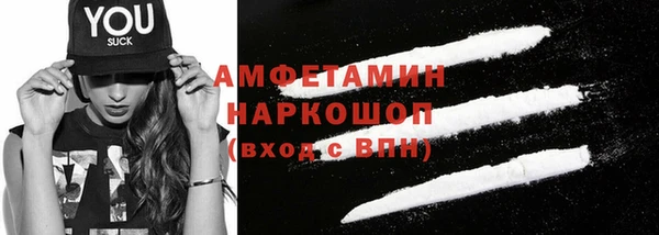 шишки Покачи