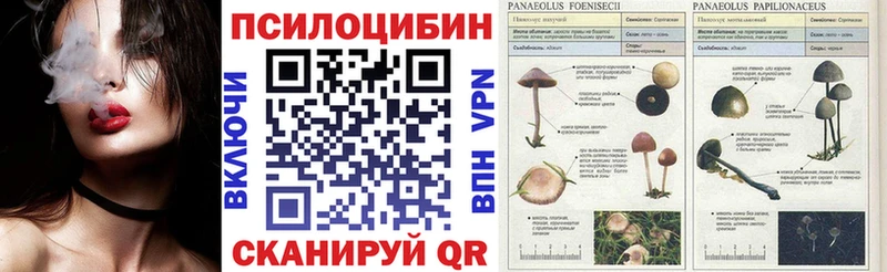 Псилоцибиновые грибы мухоморы  купить наркоту  блэк спрут вход  Выборг 